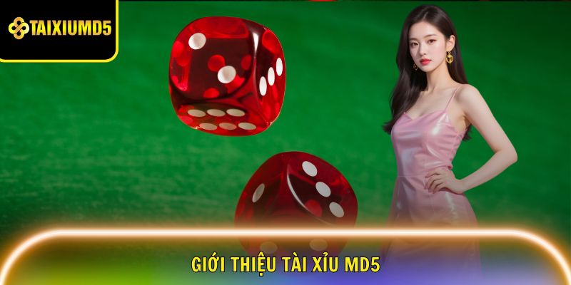 tai-xiu-md5-gioi-thieu