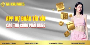app-du-doan-tai-xiu